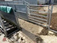 RITCHIE TROMBONE SHEEP HANDLING SYSTEM - 14