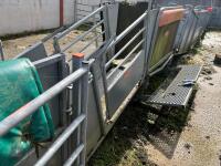 RITCHIE TROMBONE SHEEP HANDLING SYSTEM - 20