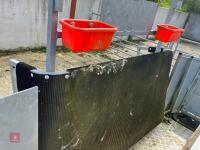 RITCHIE TROMBONE SHEEP HANDLING SYSTEM - 24