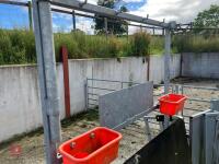 RITCHIE TROMBONE SHEEP HANDLING SYSTEM - 26