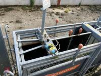 RITCHIE TROMBONE SHEEP HANDLING SYSTEM - 35