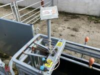 RITCHIE TROMBONE SHEEP HANDLING SYSTEM - 37