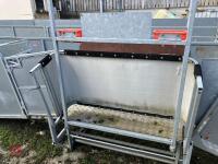 RITCHIE TROMBONE SHEEP HANDLING SYSTEM - 49