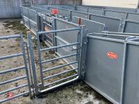 RITCHIE TROMBONE SHEEP HANDLING SYSTEM - 53