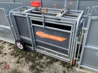 RITCHIE TROMBONE SHEEP HANDLING SYSTEM - 55