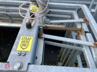 RITCHIE TROMBONE SHEEP HANDLING SYSTEM - 56