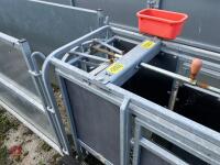 RITCHIE TROMBONE SHEEP HANDLING SYSTEM - 57