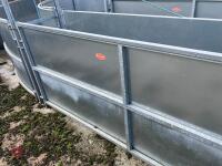RITCHIE TROMBONE SHEEP HANDLING SYSTEM - 60