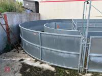 RITCHIE TROMBONE SHEEP HANDLING SYSTEM - 62