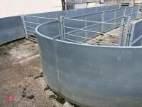 RITCHIE TROMBONE SHEEP HANDLING SYSTEM - 65