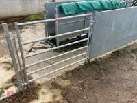 RITCHIE TROMBONE SHEEP HANDLING SYSTEM - 69