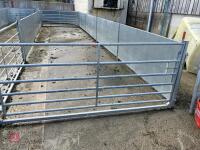 RITCHIE TROMBONE SHEEP HANDLING SYSTEM - 71