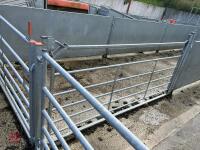 RITCHIE TROMBONE SHEEP HANDLING SYSTEM - 73