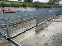RITCHIE TROMBONE SHEEP HANDLING SYSTEM - 75