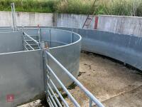 RITCHIE TROMBONE SHEEP HANDLING SYSTEM - 82