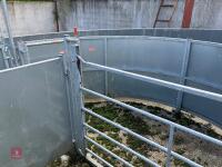 RITCHIE TROMBONE SHEEP HANDLING SYSTEM - 86