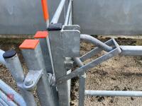 RITCHIE TROMBONE SHEEP HANDLING SYSTEM - 89