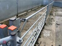 RITCHIE TROMBONE SHEEP HANDLING SYSTEM - 90