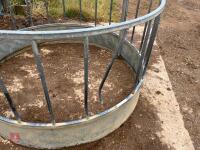 SHEEP RING FEEDER (1) - 7