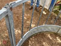 SHEEP RING FEEDER (2) - 6