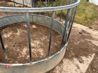 SHEEP RING FEEDER (2) - 8