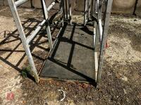 MOLE VALLEY CATTLE CRUSH - 4