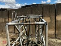 MOLE VALLEY CATTLE CRUSH - 5