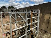 MOLE VALLEY CATTLE CRUSH - 6