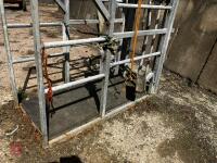 MOLE VALLEY CATTLE CRUSH - 7
