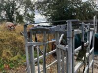 MOLE VALLEY CATTLE CRUSH - 13