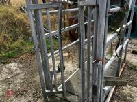 MOLE VALLEY CATTLE CRUSH - 14