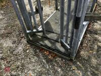 MOLE VALLEY CATTLE CRUSH - 15
