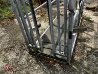 MOLE VALLEY CATTLE CRUSH - 16