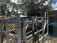 MOLE VALLEY CATTLE CRUSH - 18