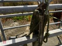 MOLE VALLEY CATTLE CRUSH - 21