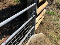 12' GALVANISED MESHED GATE - 8