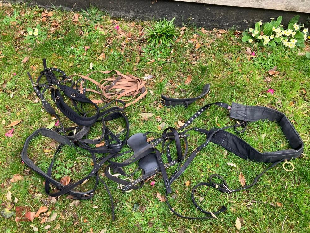WEBBING HARNESS TO SUIT 13.2HH