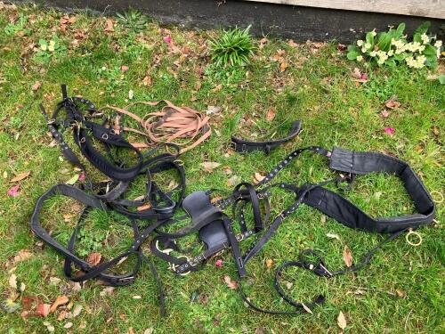 WEBBING HARNESS TO SUIT 13.2HH