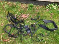 WEBBING HARNESS TO SUIT 13.2HH