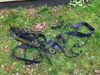 WEBBING HARNESS TO SUIT 13.2HH - 7