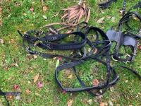 WEBBING HARNESS TO SUIT 13.2HH - 8