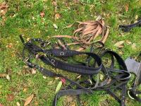 WEBBING HARNESS TO SUIT 13.2HH - 9