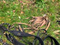 WEBBING HARNESS TO SUIT 13.2HH - 10