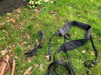 WEBBING HARNESS TO SUIT 13.2HH - 12