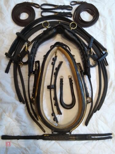 LARGE PONY PRIVATE DRIVE SET OF HARNESS