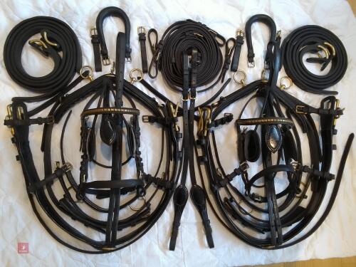 PONY PAIRS HARNESS