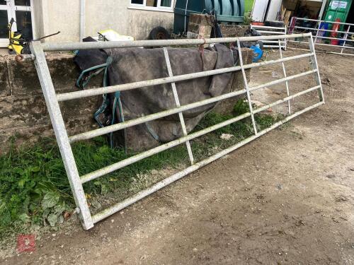 IAE GALVANISED 14' HEAVY DUTY GATE