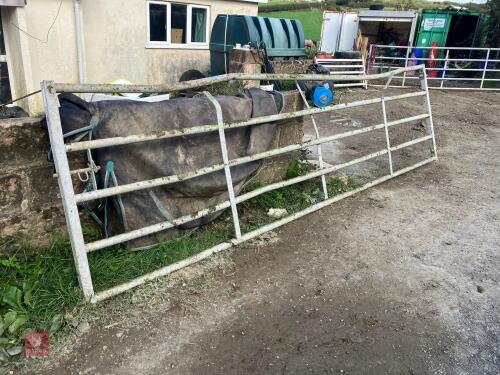 IAE GALVANISED 14' HEAVY DUTY GATE