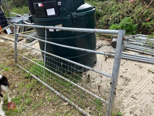 IAE GALVANISED 10' GATE