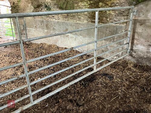IAE GALVANISED 12' GATE